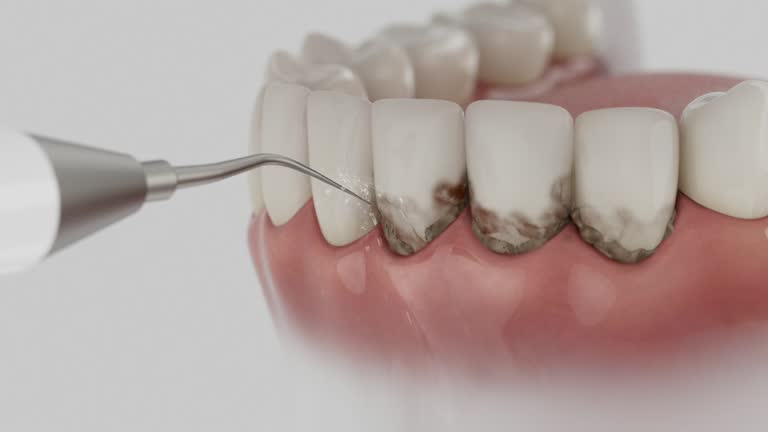 Reliable Dental contractor in Walsenburg, CO by Dentist Open Now